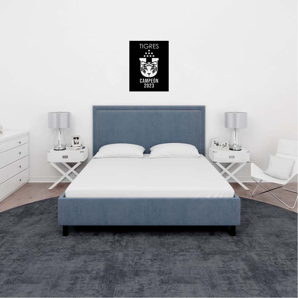 Equipo de Futbol. TIGRES campeones. 50 x 38 cms.